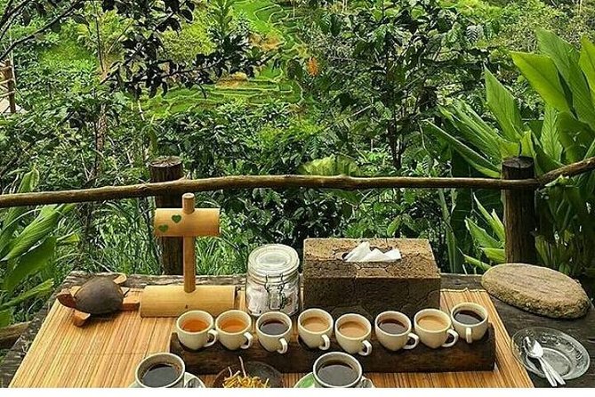 Bali romantic floating breakfast - jungle swing - monkey forest - Ubud art shop. - How the day may feel in practice