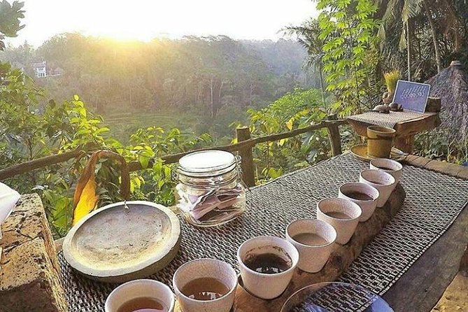 Bali romantic floating breakfast - jungle swing - monkey forest - Ubud art shop. - Who should book this Bali day tour?
