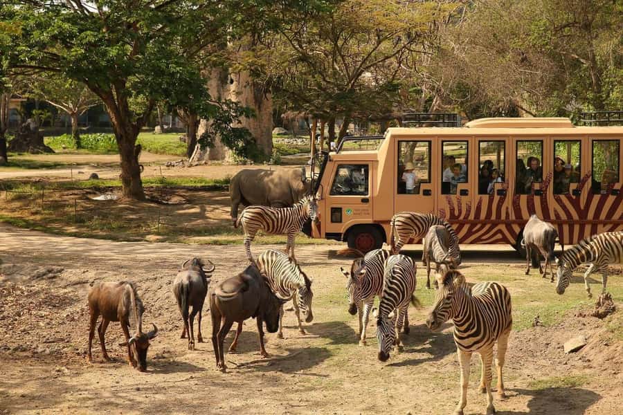 Bali: Safari Zoo and Ubud Palace and Market Day Tour - The private vehicle makes the schedule easier