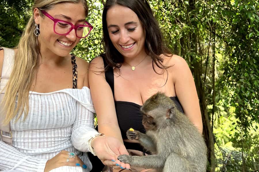 BALI :Sanctuary Monkey forest, rice terrace Water temple - Starting at the Sacred Monkey Forest in Ubud