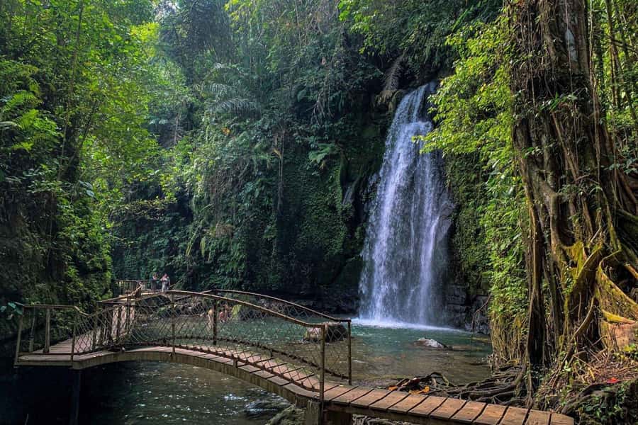 BALI :Sanctuary Monkey forest, rice terrace Water temple - Cooling off at 15-meter Petanu Waterfall