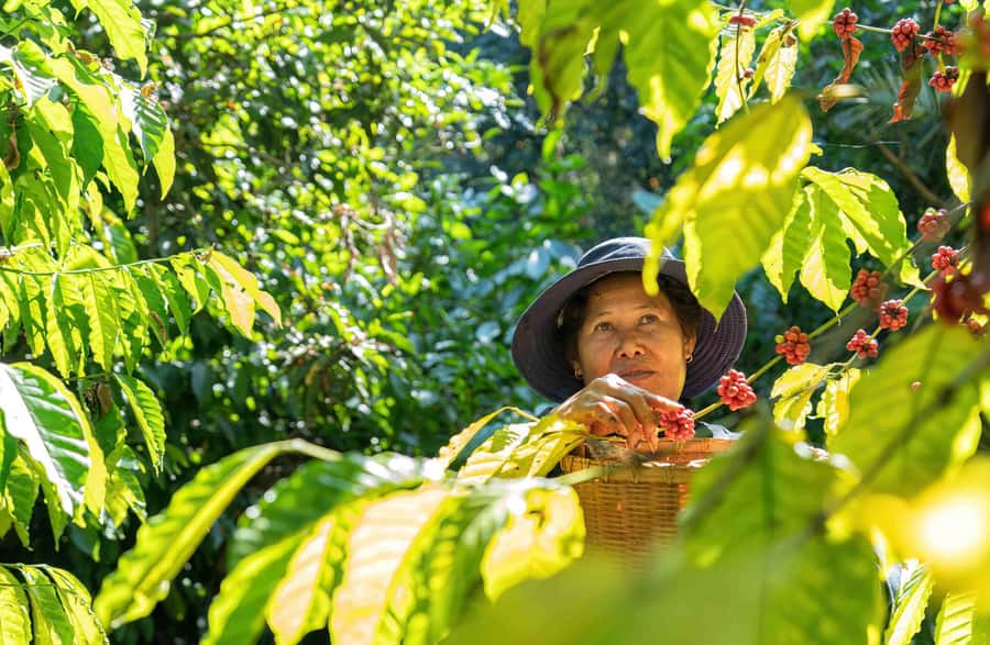 BALI :Sanctuary Monkey forest, rice terrace Water temple - Who should book this Ubud tour?