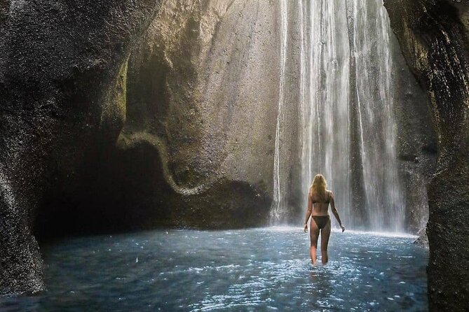 Bali Swing, Monkey Forest and Waterfall Private Tour - A big Bali day for a small price