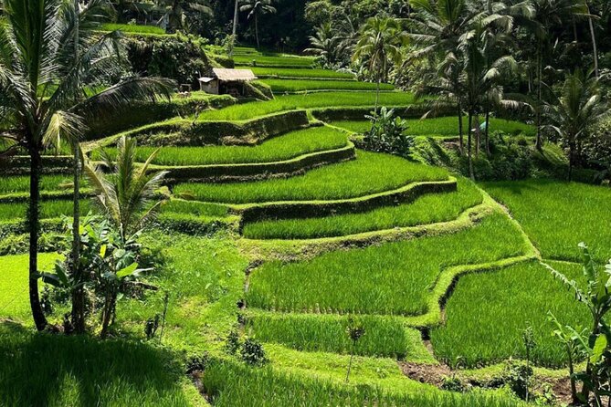 Bali Swing, Monkey Forest and Waterfall Private Tour - Kanto Lampo Waterfall and its tiered rocks