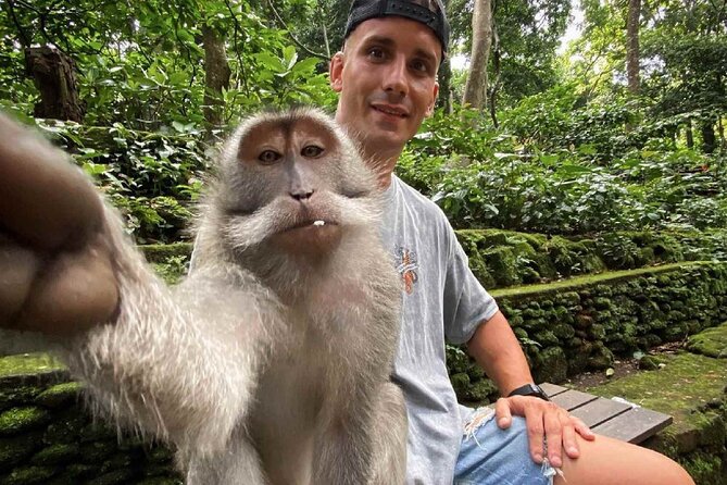 Bali Swing, Monkey Forest and Waterfall Private Tour - How the private transport changes the day