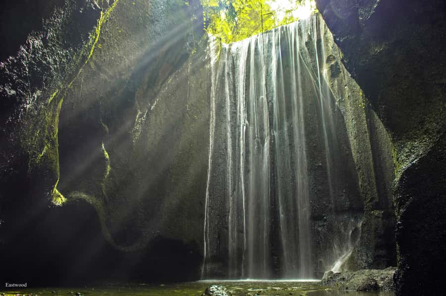 Bali: Swing with Falls, Rice Terrace, & Monkey Forest Option - Waterfalls for a swim and a change of pace