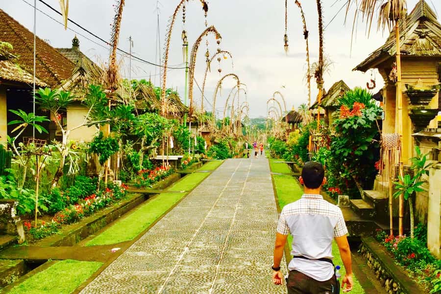 Bali: Swing with Falls, Rice Terrace, & Monkey Forest Option - Penglipuran Village and Balinese daily life
