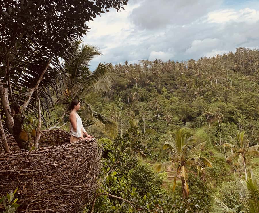 Bali: Swing with Falls, Rice Terrace, & Monkey Forest Option - Guides, photography, and hotel pickup
