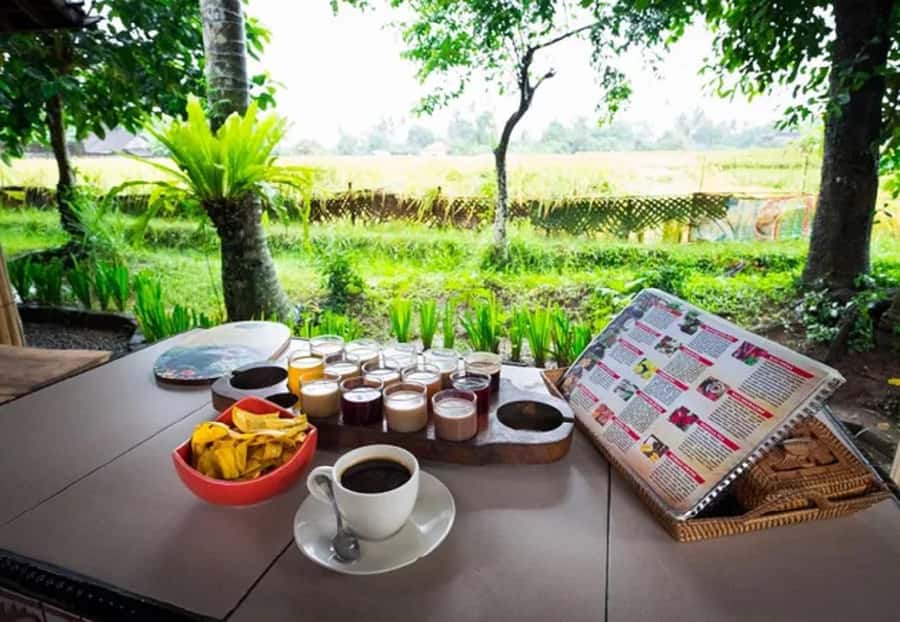 Bali: Taman Ayun, Jatiluwih, Ulun Danu, and Monkey Forest - Key points to know before booking