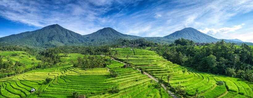 Bali: Taman Ayun, Jatiluwih, Ulun Danu, and Monkey Forest - Coffee farm, Luwak Coffee, and a one-hour tasting stop