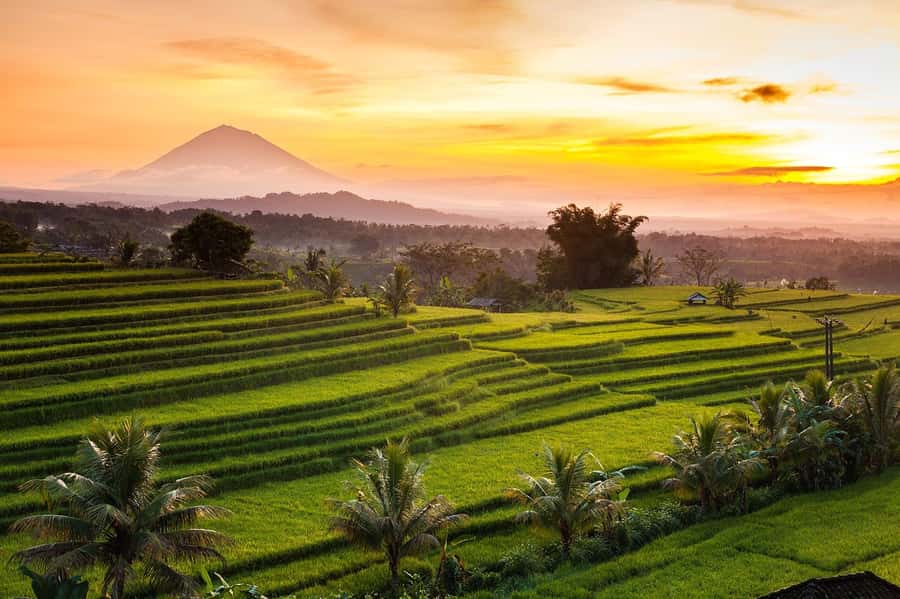 Bali: Taman Ayun, Jatiluwih, Ulun Danu, and Monkey Forest - How the 10-hour schedule feels