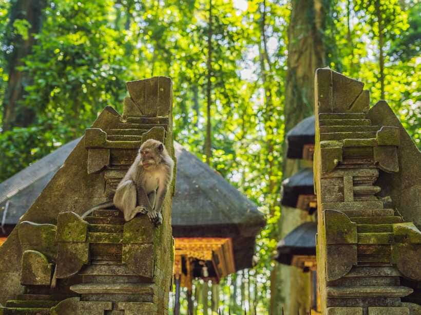 Bali: Ubud Adventure, Swing, Monkey Forest & Waterfall Tour. - Tegenungan Waterfall and time to swim
