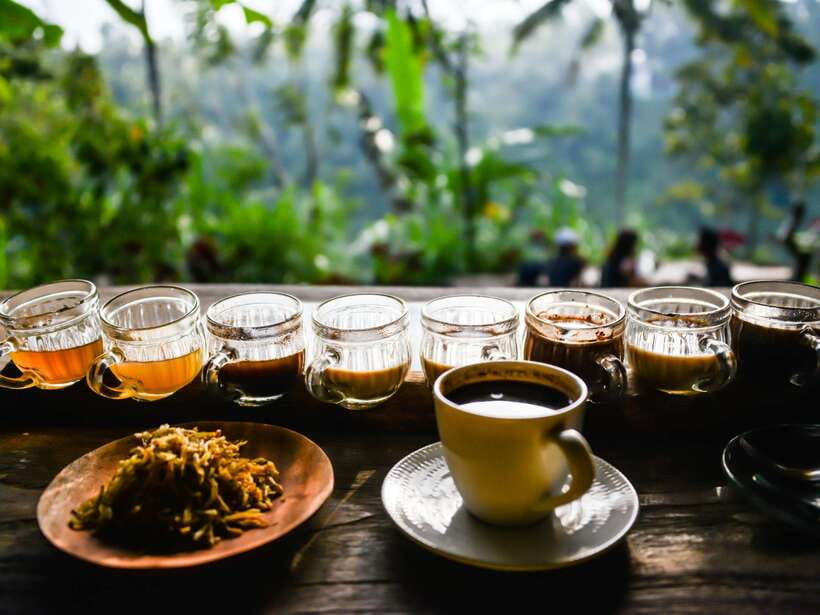 Bali: Ubud Adventure, Swing, Monkey Forest & Waterfall Tour. - Who will enjoy this tour most