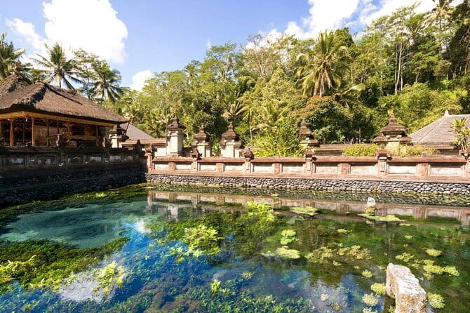 Bali Ubud Jungle Swing: Monkey Forest and Waterfall Private Tour - One long day through Ubud’s most popular sights