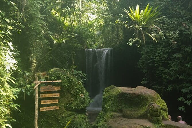Bali Ubud Jungle Swing: Monkey Forest and Waterfall Private Tour - Understanding the spring pools at Tirta Empul
