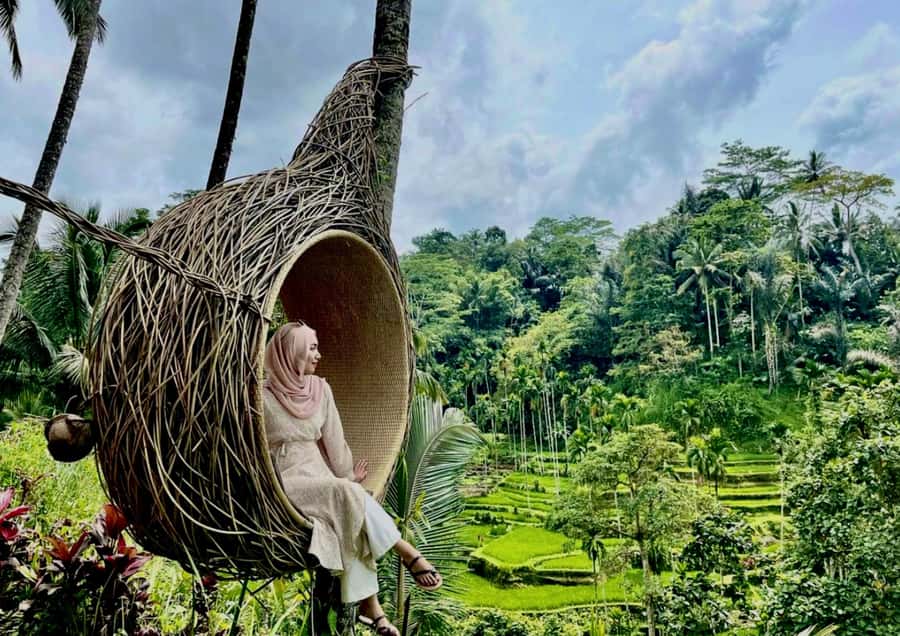 Bali/Ubud: Kanto Lampo Waterfall, Monkey Forest & Swing Tour - Tegallalang and the famous Bali swing