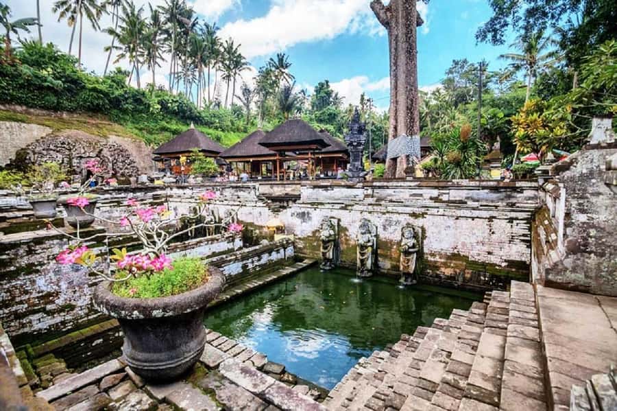 Bali: Ubud, Monkey Forest, Ancient Temple, Waterfalls - What this Bali day really offers