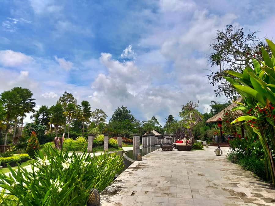 Bali: Ubud, Monkey Forest, Ancient Temple, Waterfalls - Satria Agrowisata and the coffee tasting
