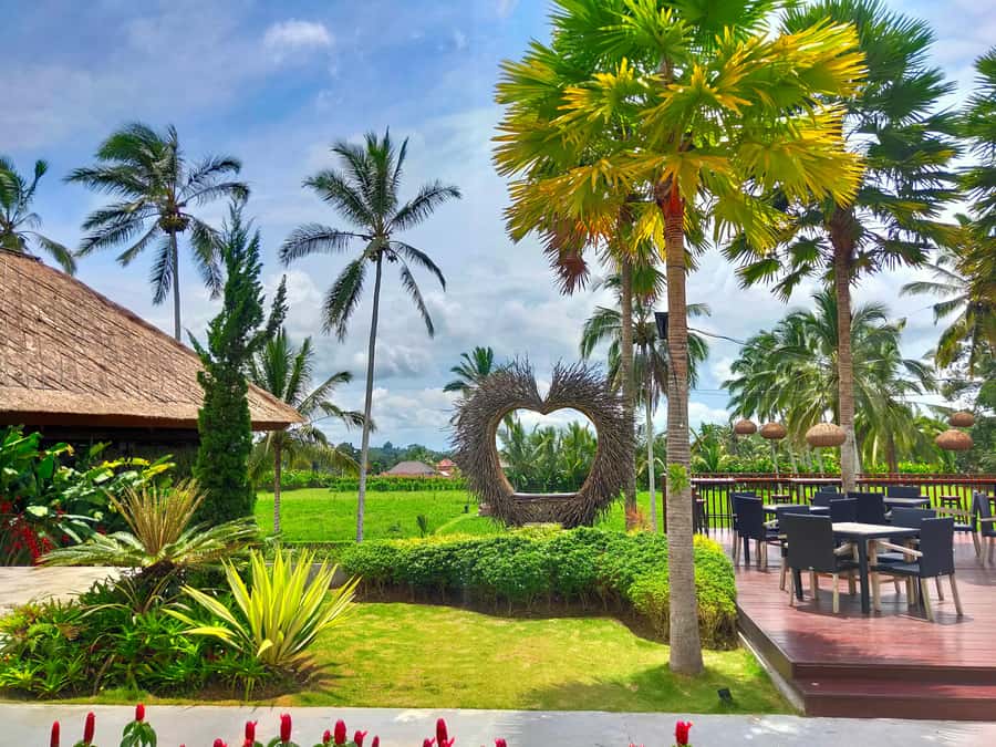 Bali: Ubud, Monkey Forest, Ancient Temple, Waterfalls - Lunch in Ubud with time to slow down