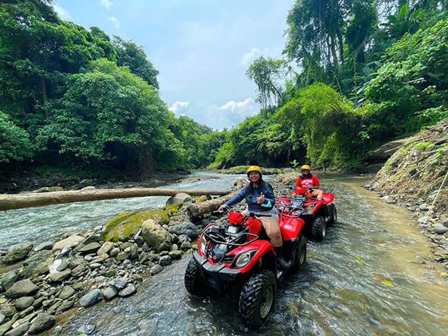 Bali: Ubud, Monkey Forest, Ancient Temple, Waterfalls - Why the private driver matters