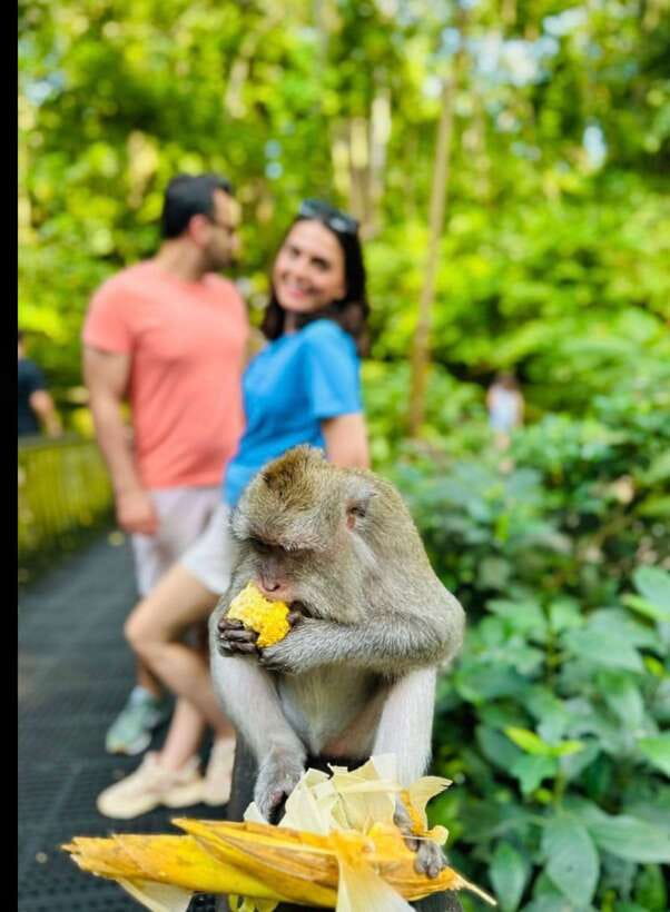 Bali: Ubud Monkey Forest, Coffee Plantation, and Market Tour - Ubud Monkey Forest and its 14th-century setting