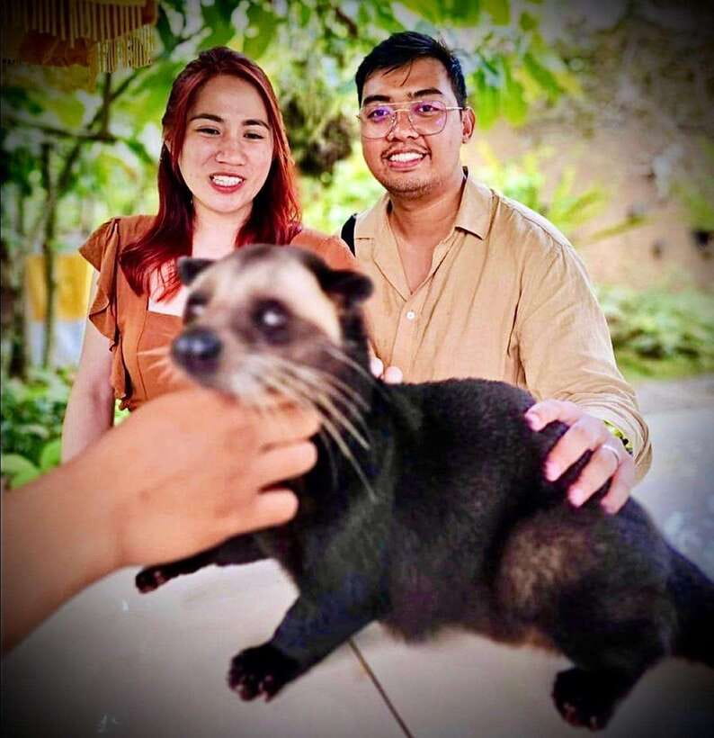 Bali: Ubud Monkey Forest, Coffee Plantation, and Market Tour - Final call: a useful first look at Ubud