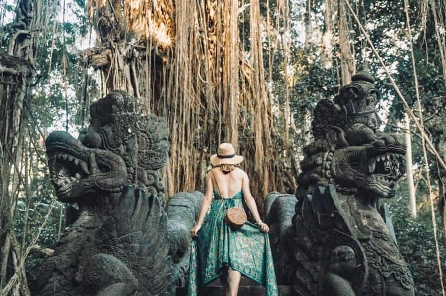 Bali: Ubud Monkey Forest, Waterfall, and Rice Terrace Tour - Cooling off at Tegenungan Waterfall
