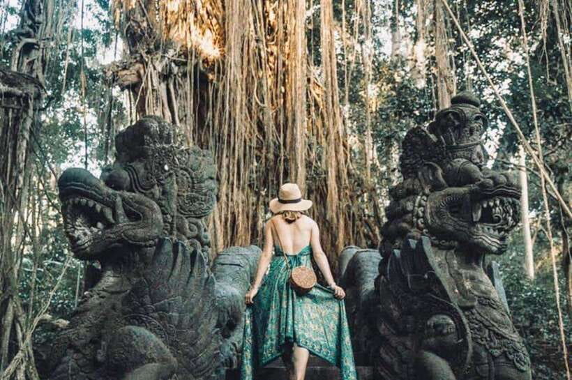 Bali: Ubud Monkey Forest, Waterfall, and Rice Terrace Tour - The possible art village stop