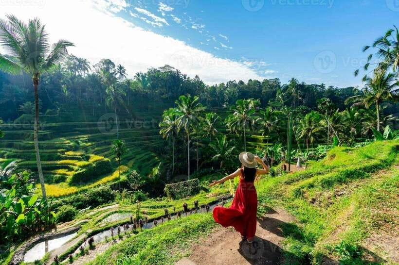 Bali: Ubud Monkey Forest, Waterfall, and Rice Terrace Tour - Who should book this Ubud tour?