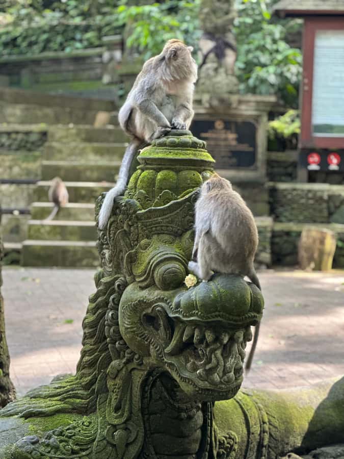 Bali ubud : monkey forest, waterfall , temple - A full day built around Ubud’s classic sights