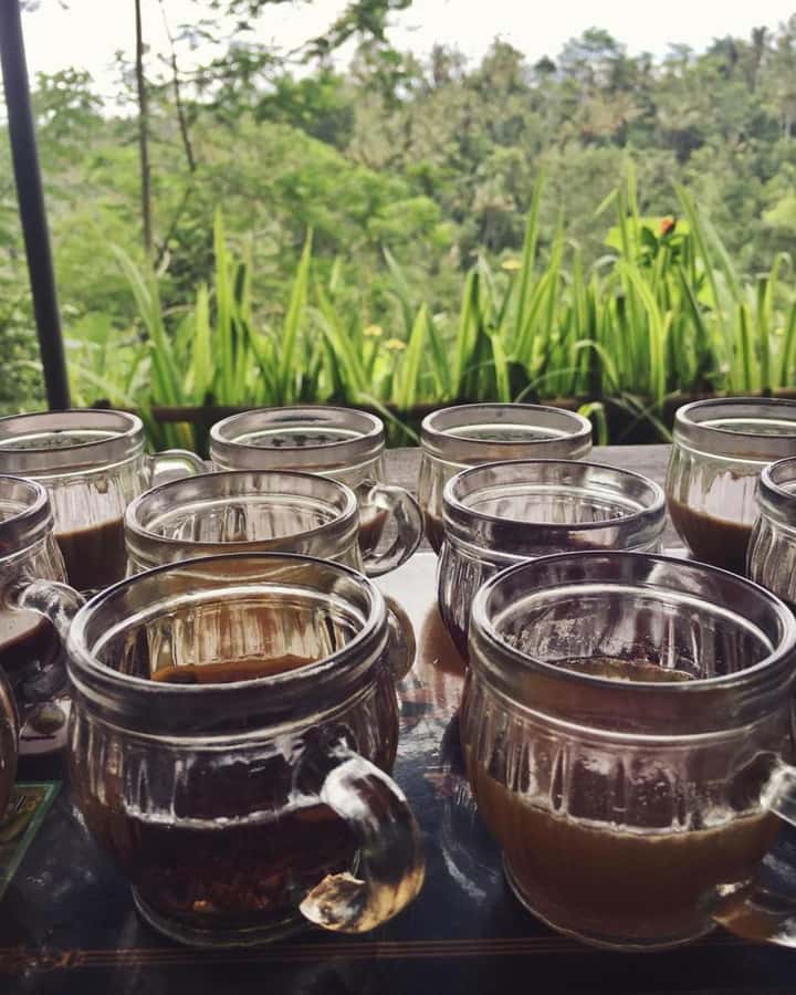 Bali ubud : monkey forest, waterfall , temple - Meeting the macaques at Sacred Monkey Forest
