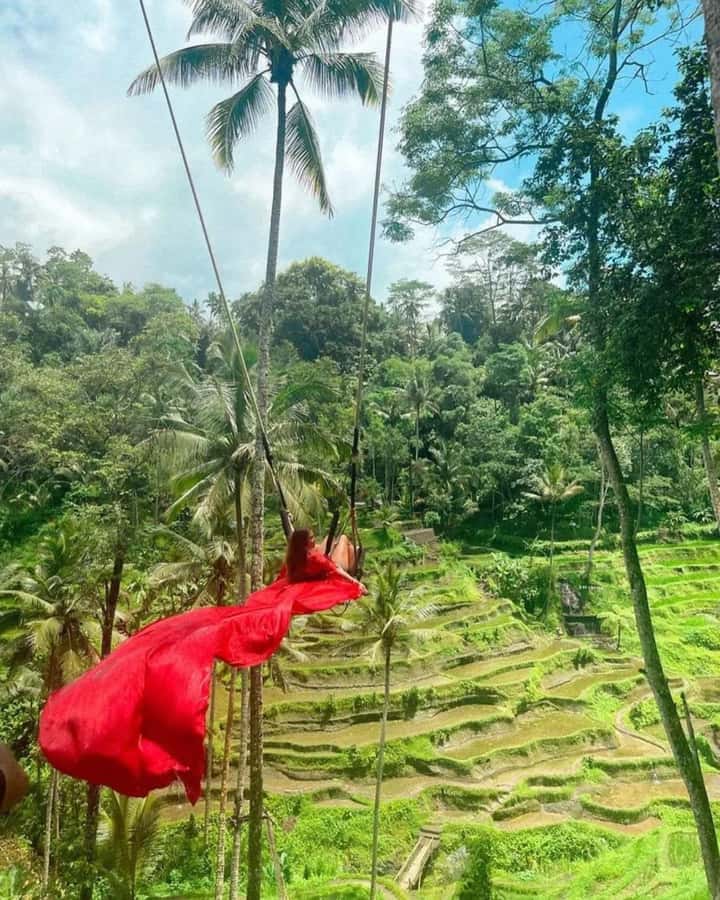Bali ubud : monkey forest, waterfall , temple - Tegalalang Rice Terrace and working farm views