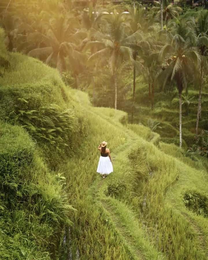 Bali ubud : monkey forest, waterfall , temple - Tegenungan Waterfall and the final natural stop