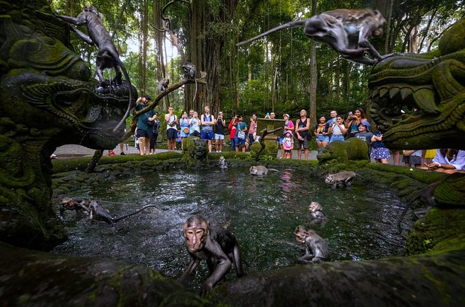 Bali Ubud Zipline, Monkey Forest and Waterfall Adventure - How the private format changes the day