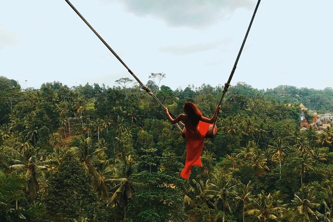 Bali White Water Rafting with Sacred Monkey Forest and Swing - Sangeh Monkey Forest among old nutmeg trees
