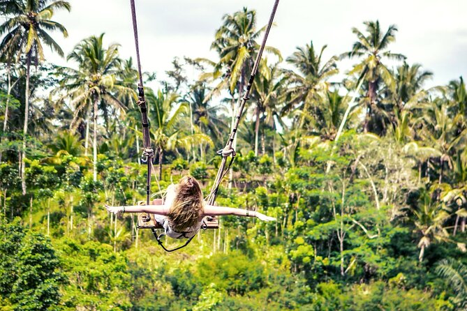 Bali White Water Rafting with Sacred Monkey Forest and Swing - Lunch, water, and the real value of $64.87