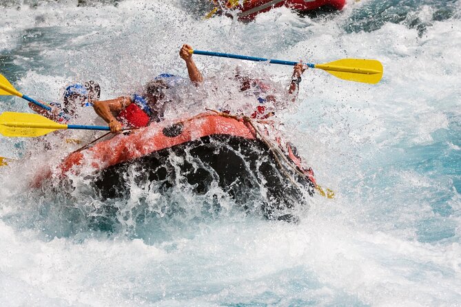 Bali White Water Rafting with Sacred Monkey Forest and Swing - Who will enjoy this day most