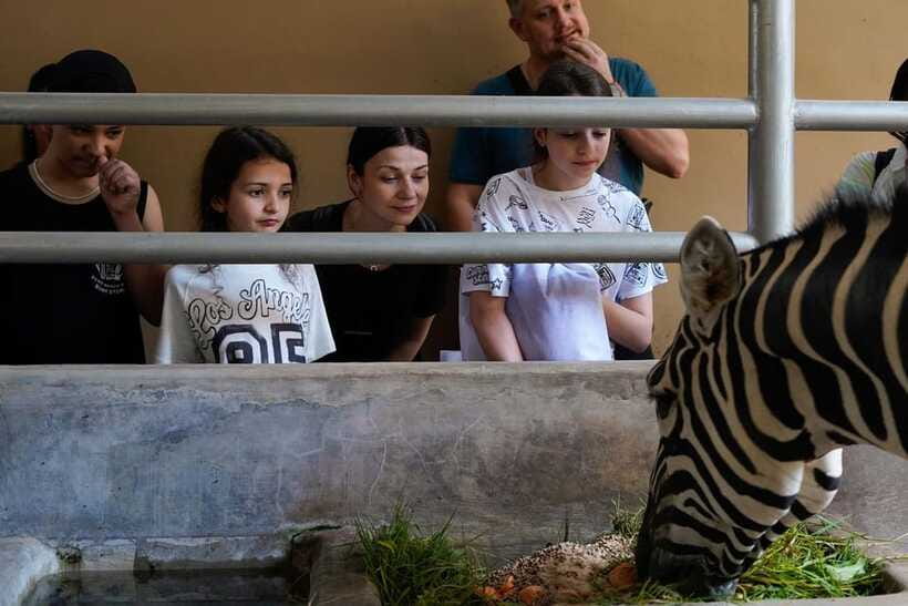 Bali Zoo: Behind Closed Doors Afternoon Safari Guided Tour - Snacks, cool drinks, and beer at the right moment