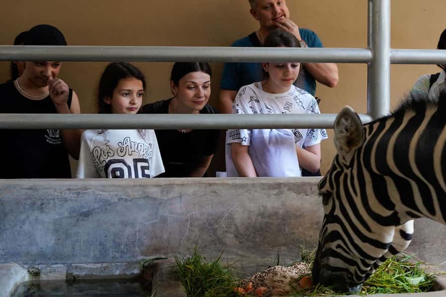 Bali Zoo: Behind Closed Doors Afternoon Safari Guided Tour - What the keepers add to the experience