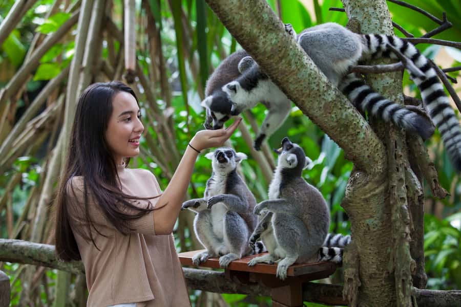 Bali Zoo Entrance Ticket - What a Day at Bali Zoo Feels Like