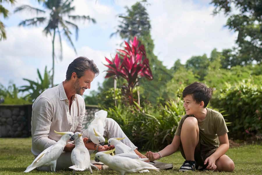 Bali Zoo: Guided Breakfast With Observing Orangutans - Who will enjoy this most?