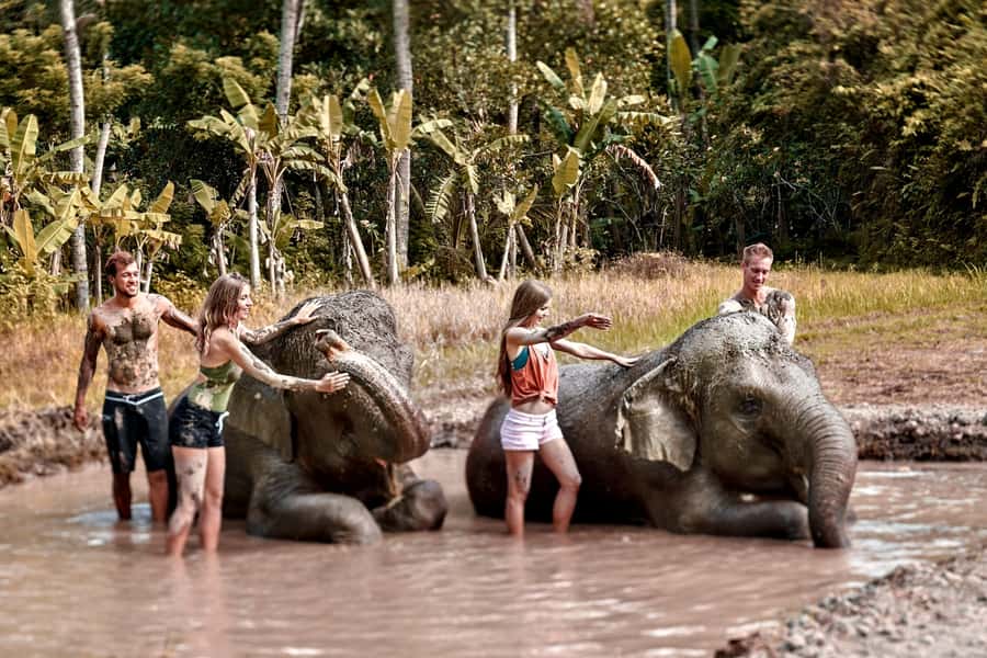 Bali Zoo: Guided Ethical Elephant Care Experience - Why the elephant care program feels different