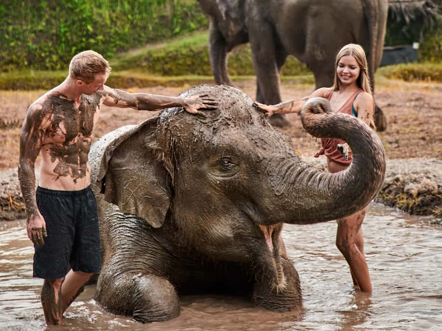 Bali Zoo: Guided Ethical Elephant Care Experience - What your seven-hour day looks like