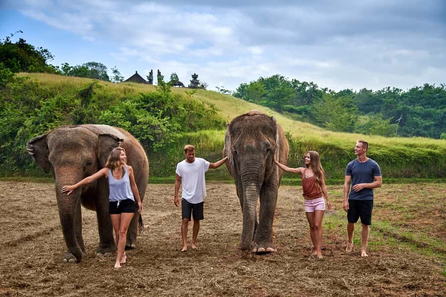 Bali Zoo: Guided Ethical Elephant Care Experience - Mud, brushes, and the river area