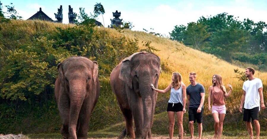 Bali Zoo: Guided Ethical Elephant Care Experience - Practical details before you book