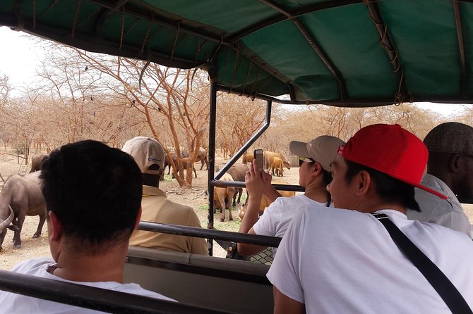 bandia wildlife reserve private- minimun 2 people to book it - The 90-minute drive from Dakar