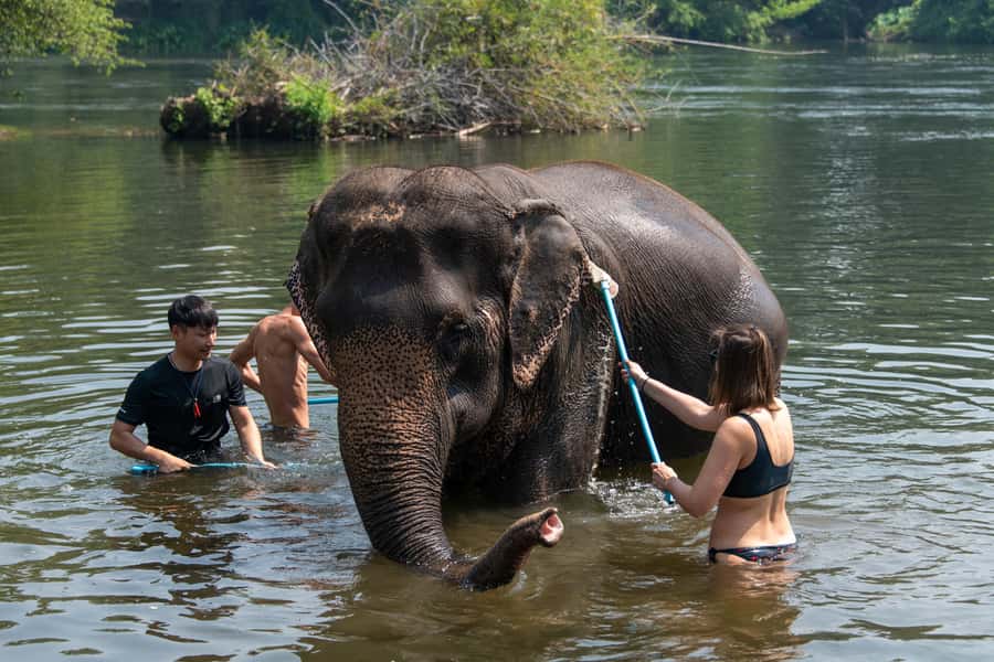 Bangkok: Elephant Sanctuary & Erawan Waterfall Tour - ElephantsWorld gives the day its purpose