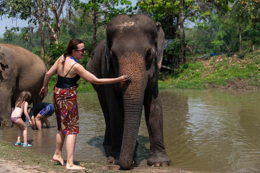 Bangkok: Elephant Sanctuary & Erawan Waterfall Tour - The Bangkok drive requires realistic expectations
