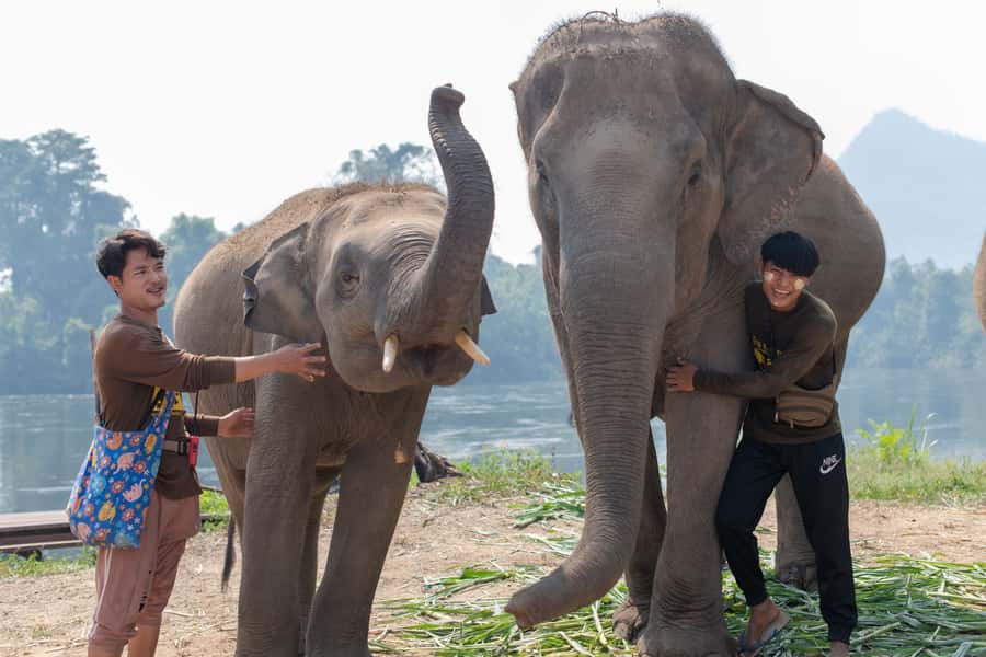 Bangkok: Elephant Sanctuary & Erawan Waterfall Tour - Swimming, fish, and practical park details
