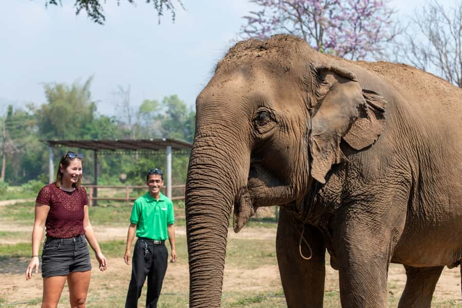 Bangkok: Elephant Sanctuary & Erawan Waterfall Tour - What to pack for a wet and active day
